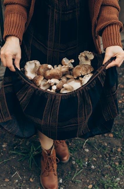 Beyond the Basics: Innovative Solutions for a Greener Culinary Space