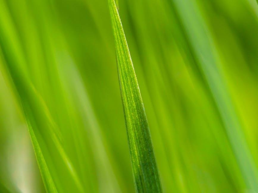 Maintaining and Caring for Your Blades
