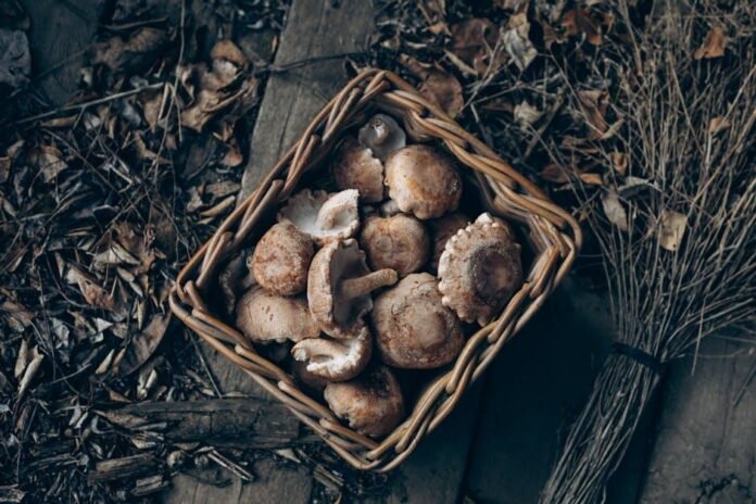 Sustainable Kitchen Swaps: Eco-Friendly Tools to Ditch Plastic for Good